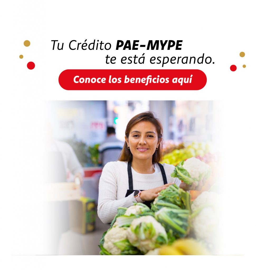 Campañas 14 Campañas
