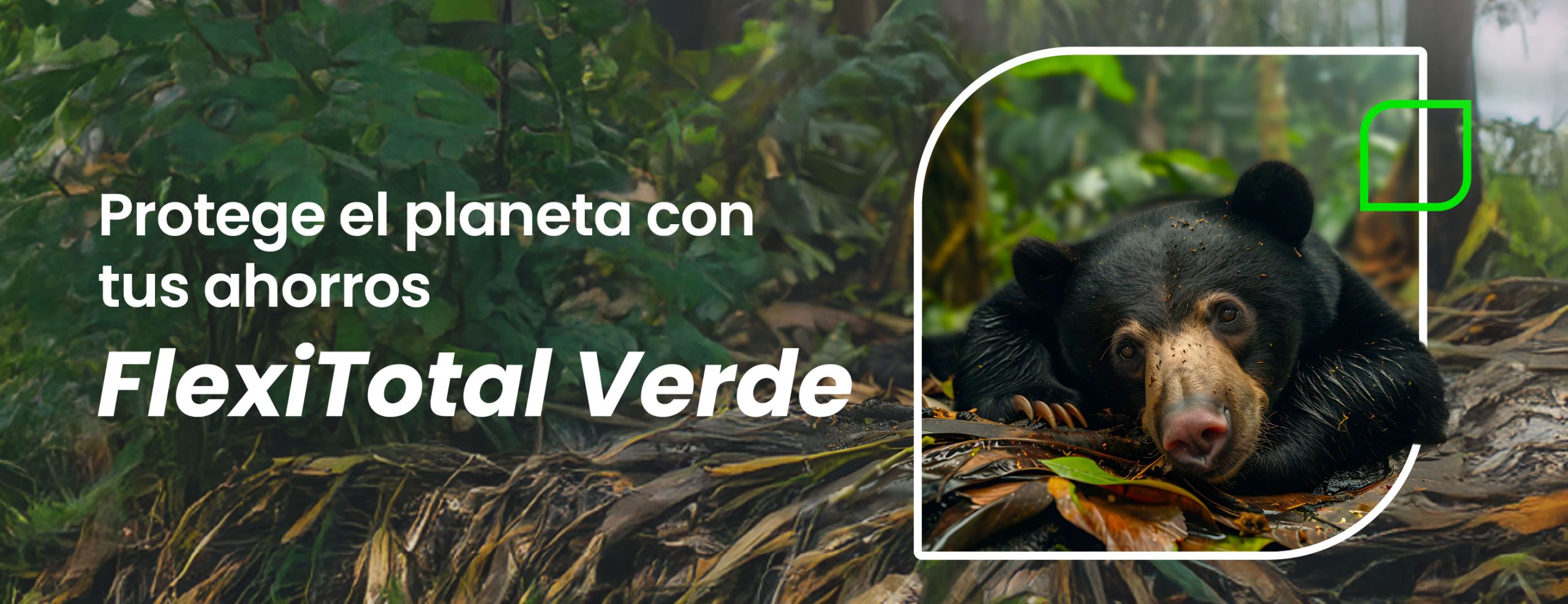 Inicio