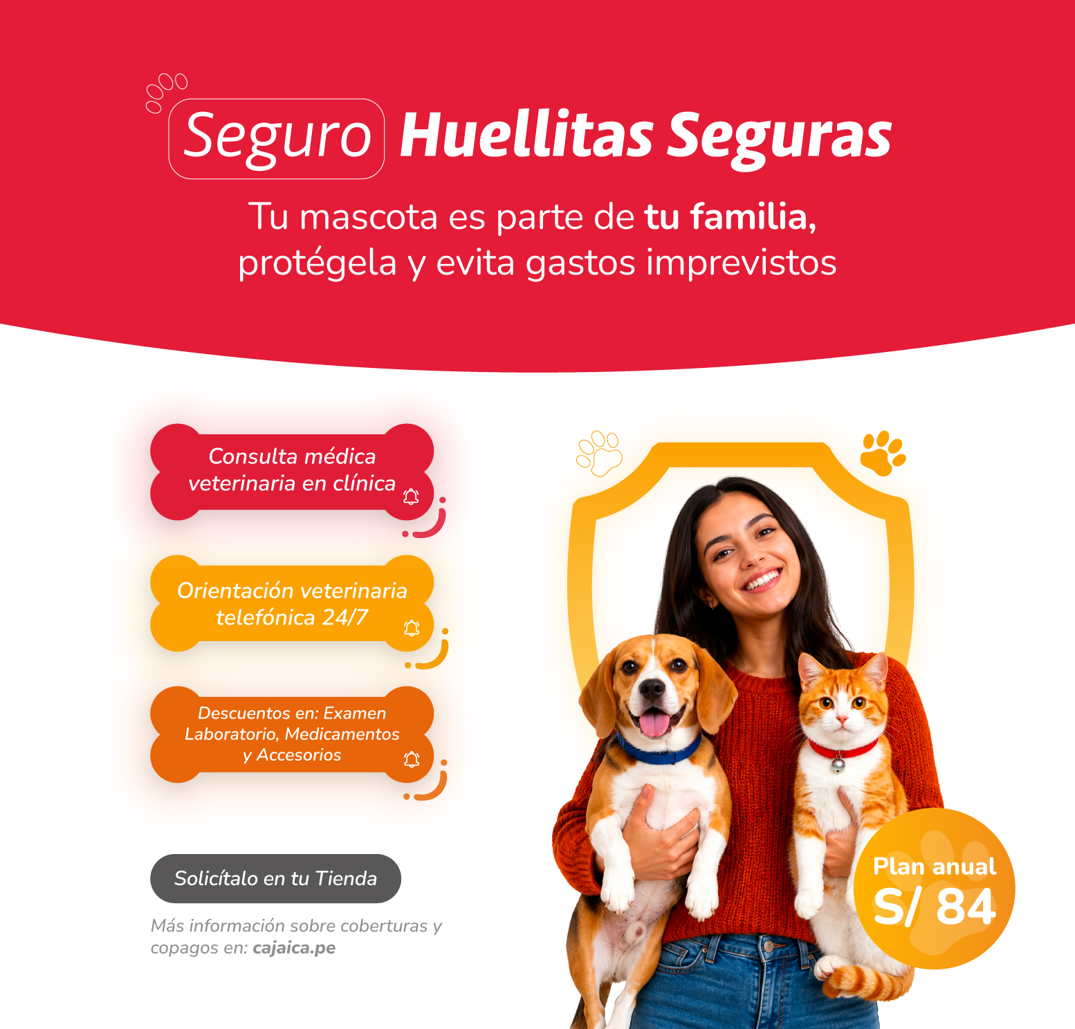 Inicio